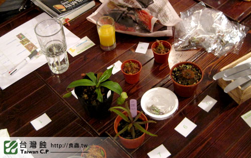 TCP1食蟲交流會-06-台灣蝕.jpg TCP1食蟲交流會-06-台灣蝕.jpg