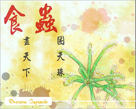 食盡天下。蟲困天珠.jpg 食盡天下。蟲困天珠.jpg