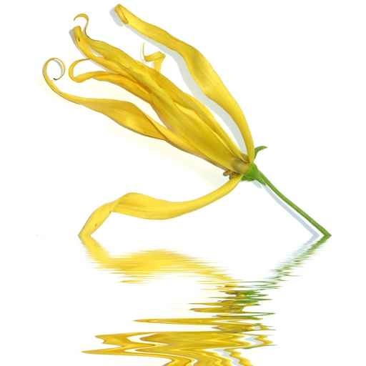 fotolia_7503813.jpg fotolia_7503813.jpg