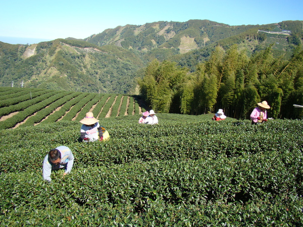 部落格照片