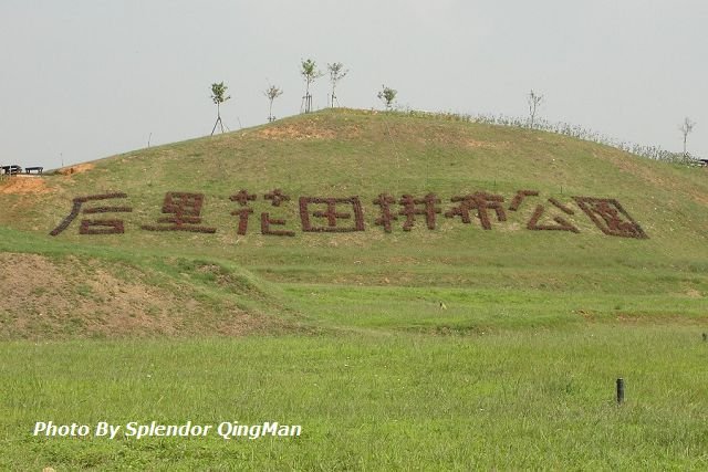 植樹 - 3 植樹 - 3