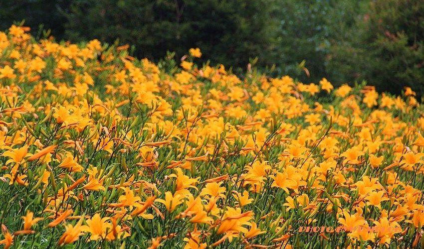 沐心泉 - 1 沐心泉 - 1