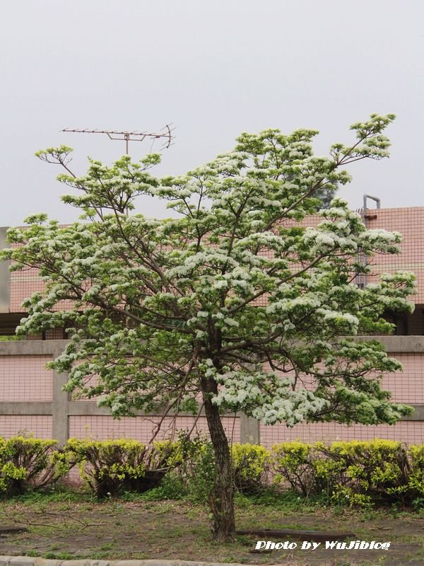 啤酒廠 - 4 啤酒廠 - 4