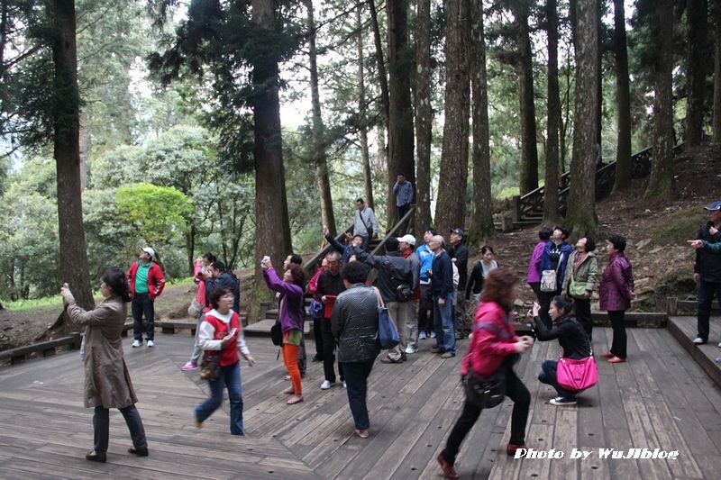 阿里山 - 5 阿里山 - 5
