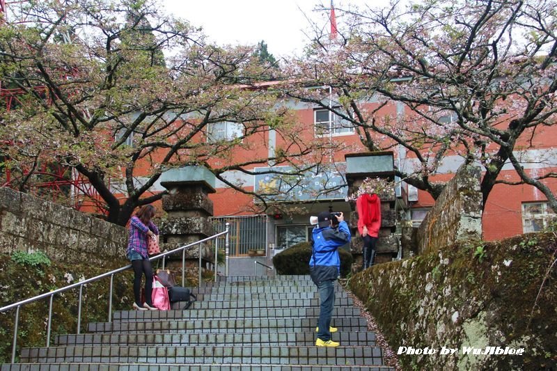 阿里山 - 2 阿里山 - 2