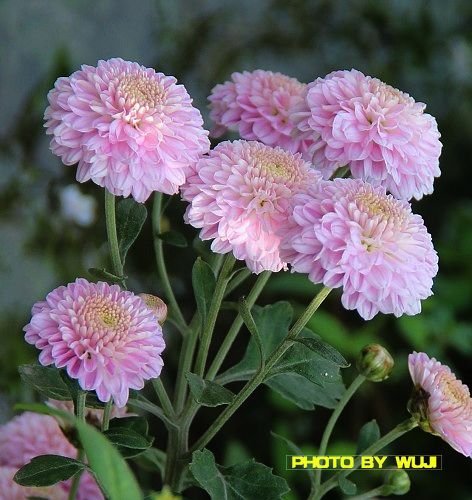 1 1