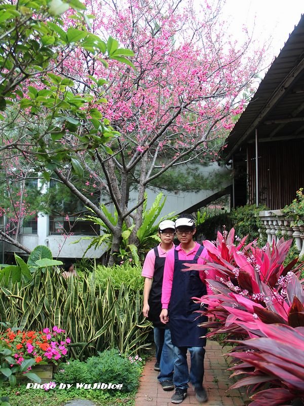 花香松林