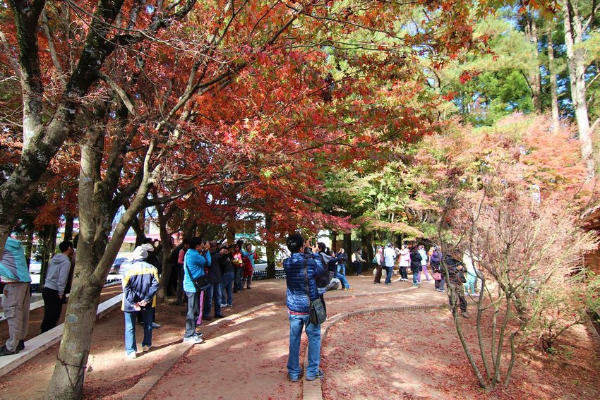 福壽山 福壽山