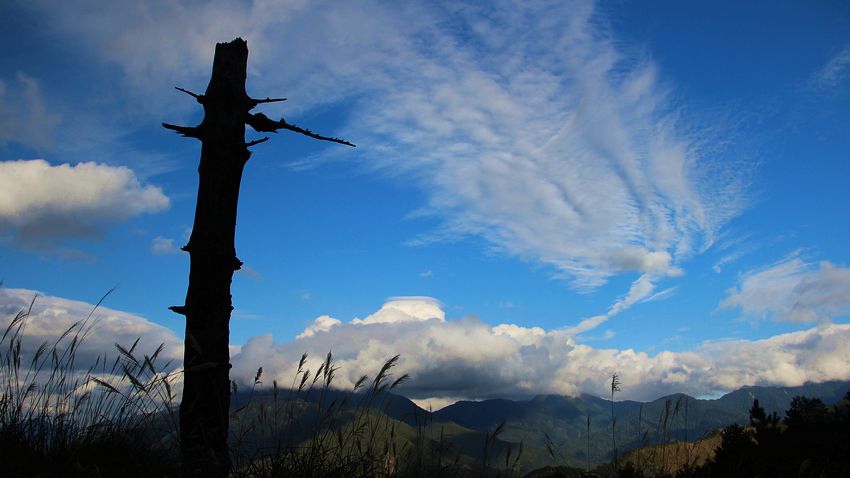 福壽山 - 7 福壽山 - 7