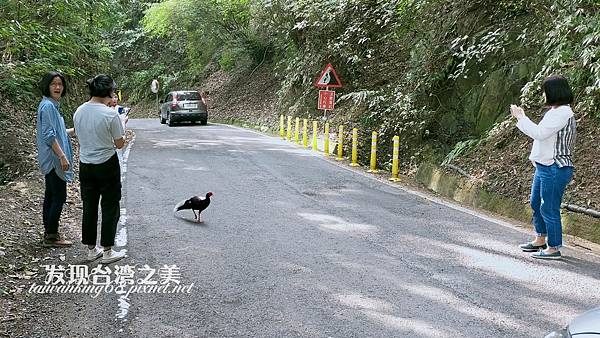 雪山路23.5K.jpg