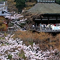 清水寺