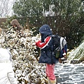 小妹妹開始玩雪了