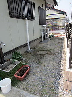 高麗芝草坪 コウライ芝生 腳踏車主婦的偕樂園 痞客邦 高麗芝草坪 コウライ芝生 腳踏車主婦的偕樂園 痞客邦