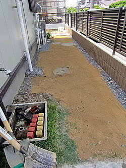 高麗芝草坪 コウライ芝生 腳踏車主婦的偕樂園 痞客邦 高麗芝草坪 コウライ芝生 腳踏車主婦的偕樂園 痞客邦