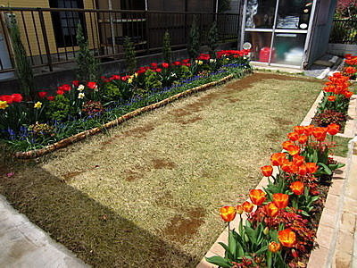 高麗芝草坪 コウライ芝生 腳踏車主婦的偕樂園 痞客邦