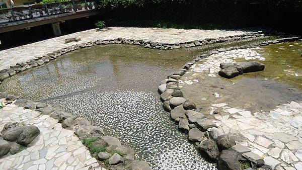 12002326_10203706992194504_2749526250973085561_n