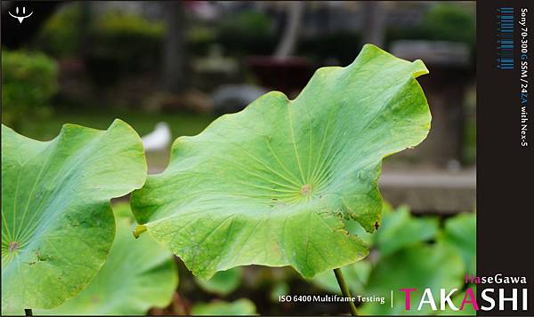 Nex-5-多框降噪測試-15.jpg