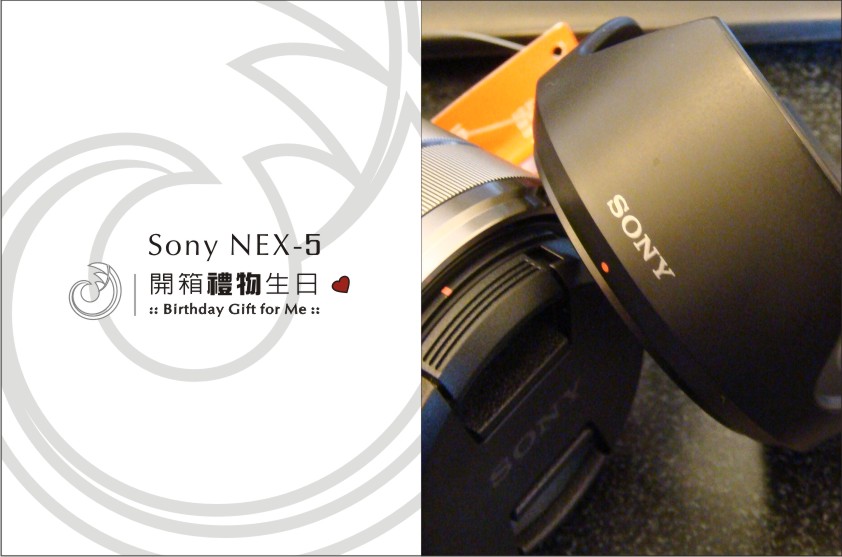 NEX5開箱-1.jpg