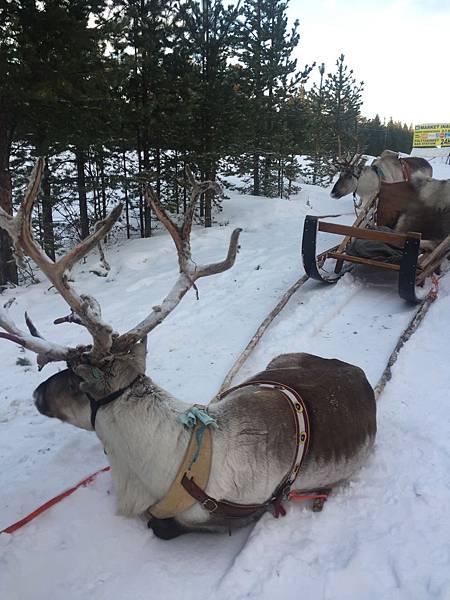 愛吃金牛的旅遊足跡=>歐,美旅遊 愛吃金牛的旅遊足跡=>歐,美旅遊