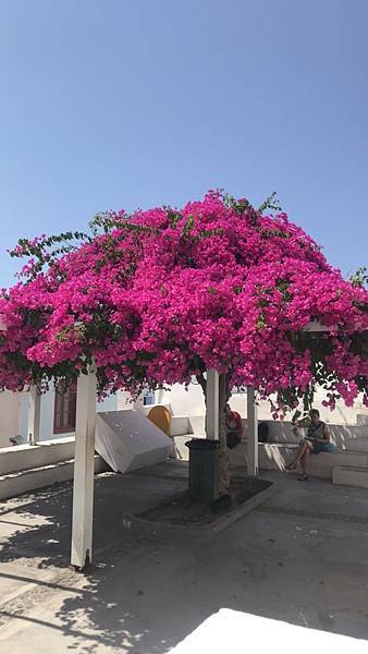 愛吃金牛的旅遊足跡=>歐,美旅遊 愛吃金牛的旅遊足跡=>歐,美旅遊