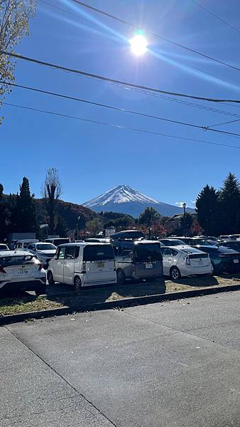 [食記] 河口湖-喝咖啡賞富士山-ひだまり珈琲