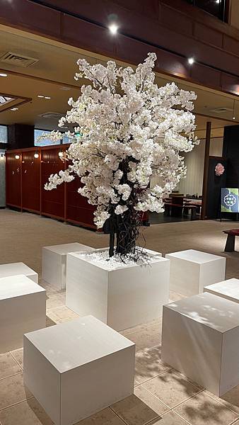 [住宿] 加賀溫泉站-超多免費體驗-花見久兵衛(上)