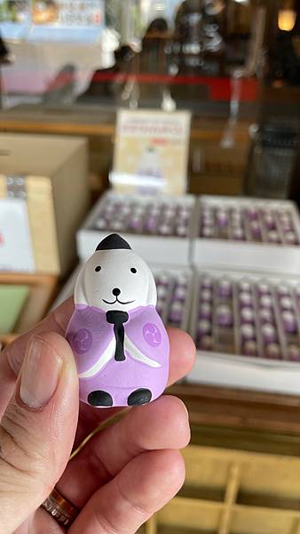 2025金澤北陸賞櫻行-金澤特別的狗狗神社來求姻緣剛剛好-石