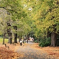 Fitzroy Gardens