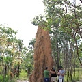 第一站:magnetic termite mounds