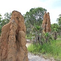 magnetic termite mounds