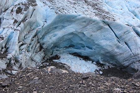 Fox Glacier