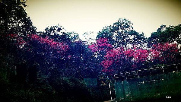 20150208_155938-1.jpg