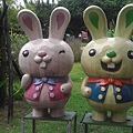 IMAG0008.jpg