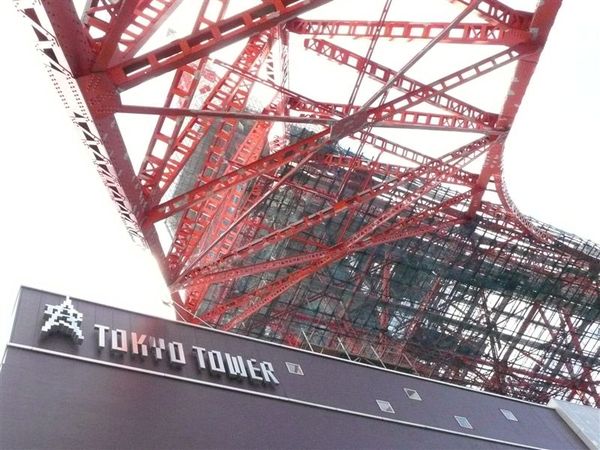 TOKYO TOWER旁的那個標緻很特別