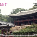 koreaIMG_5987