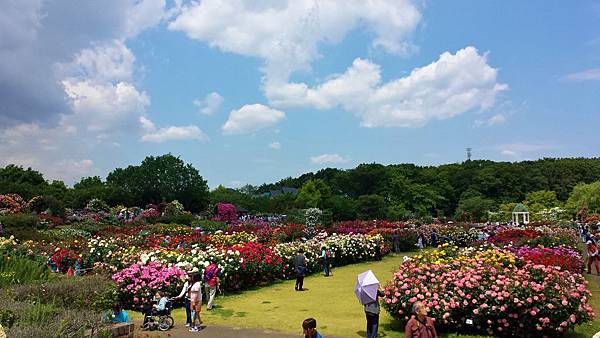 20140522_103838 20140522_103838