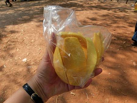 20190208小吳哥外賣的有點生的芒果2袋USD1