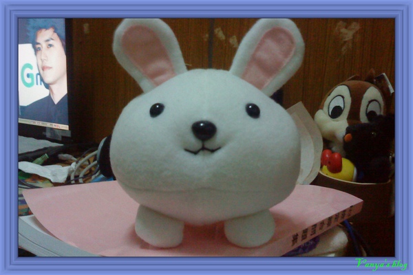 可愛的新歡－白嘟嘟