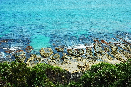 DSC_1252.jpg DSC_1252.jpg