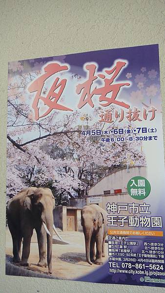 關西 櫻花都沒開的神戶王子動物園 Ally S Blog 痞客邦 關西 櫻花都沒開的神戶王子動物園 Ally S Blog 痞客邦