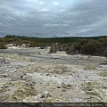 Rotorua-Hells Gates地獄之門地熱公園泥漿溫泉 (1).jpg