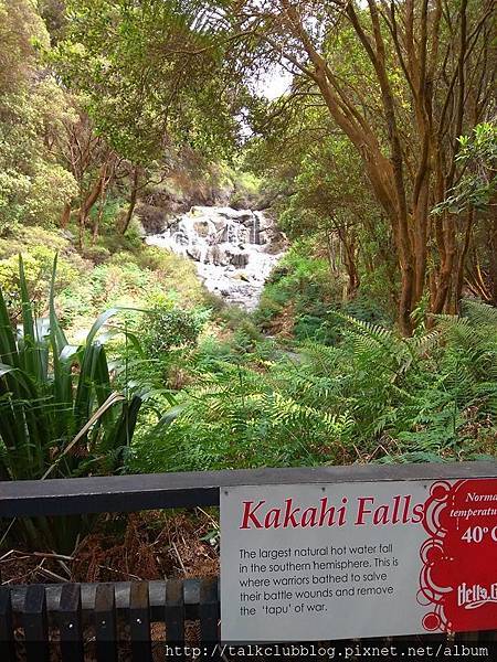 Rotorua-Hells Gates地獄之門地熱公園泥漿溫泉 (2).jpg