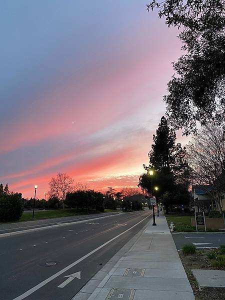 S__63070218.jpg S__63070218.jpg