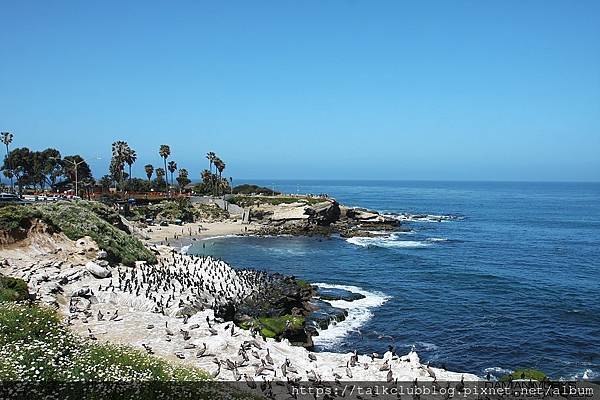 La_Jolla_Cove_聖地牙哥照片