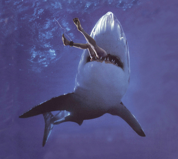 shark-attack1.jpg shark-attack1.jpg