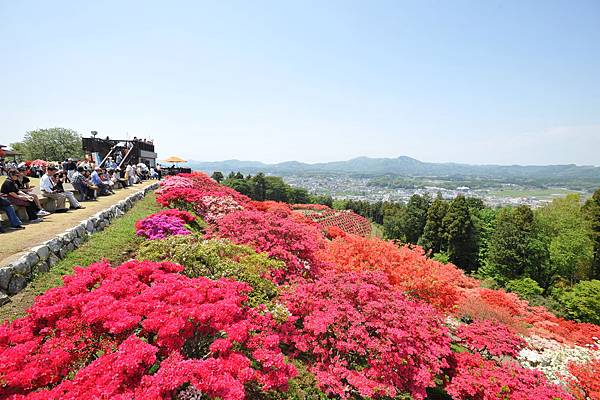 【Kasama】late Apr. to early May Azalea Festivsl.JPG