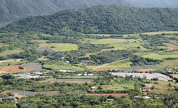 八重山台灣開墾出的良田不乏鳳梨田.jpg