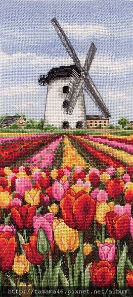 ANC-PCE0806-Dutch Tulips Landscape.JPG