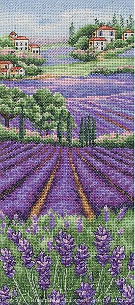 ANC-PCE0807-Provence Lavender Scape.jpg