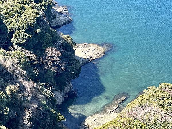 DAY9~10《鎌倉江之島》2023年2月日本關東胖姐&寶貝